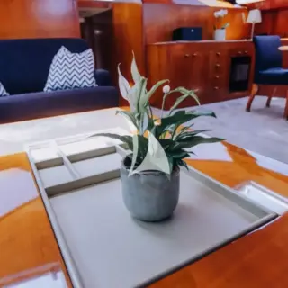 Saloon