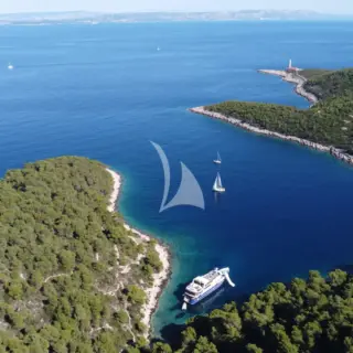 Lupus Mare - Image 4