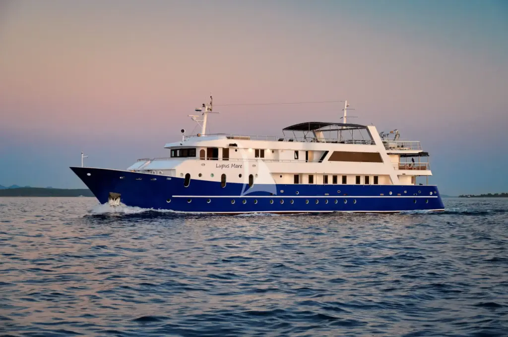 Lupus Mare - Image 3