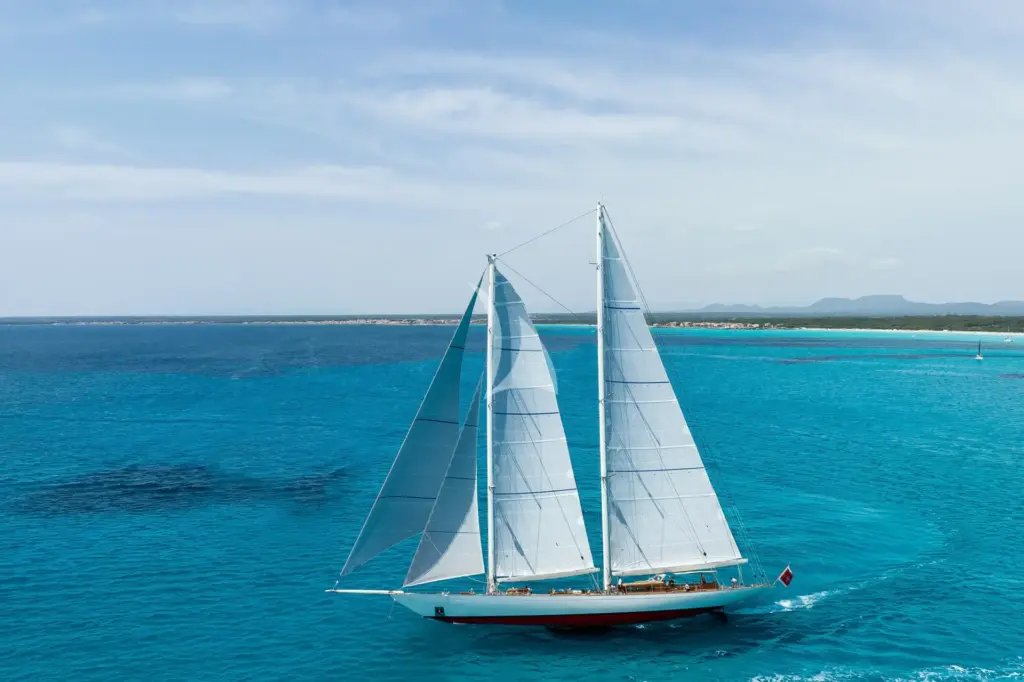 Windrose of Amsterdam profile