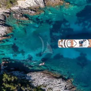 BLACK SWAN - Image 16