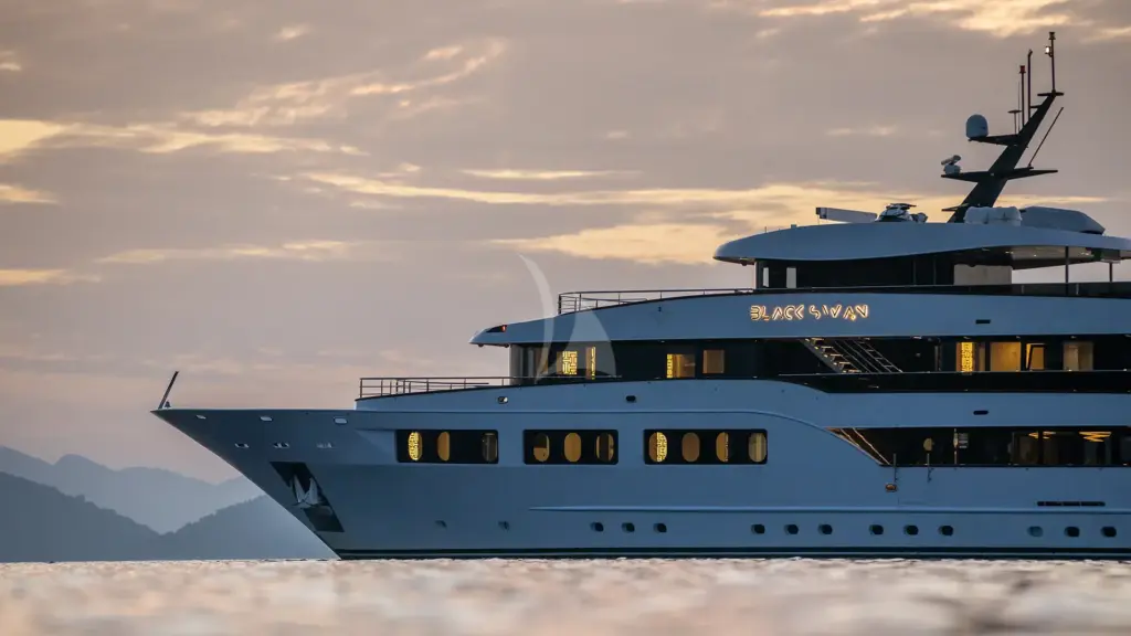 BLACK SWAN - Image 2