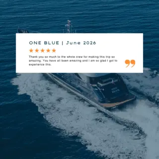 ONE BLUE - Image 24
