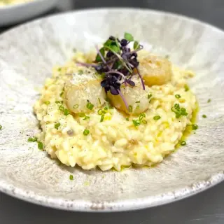 XIPHIAS - Chef's creations 