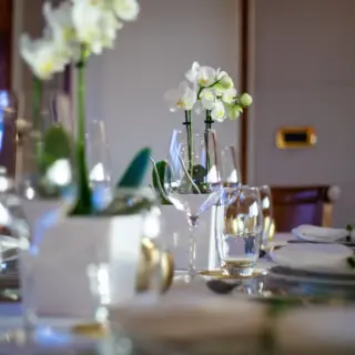 VIKING III - dining detail