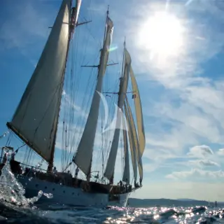 TRINAKRIA - Regatta