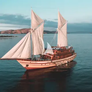 The Maj Oceanic
