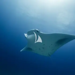 Raja Ampat