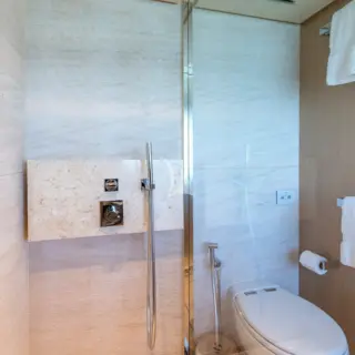 VIP/2nd master cabin shower + toilet