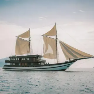 SAMSARA SAMUDRA - Image 3