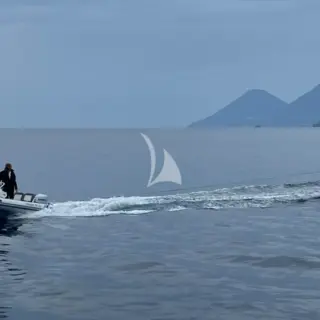 LOOMA tender