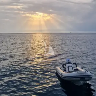 LOOMA tender