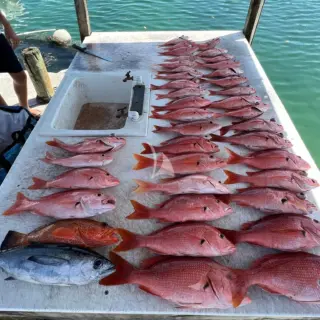 Strong fishing program