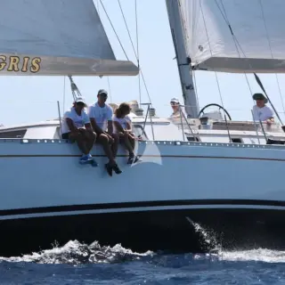 Tigris - Image 16