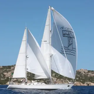 Tigris - Image 17