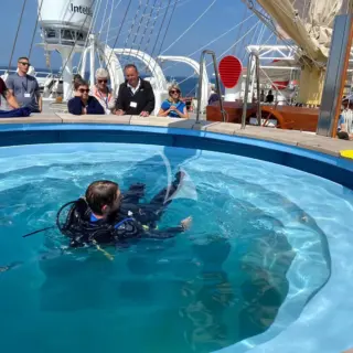 Dive pool