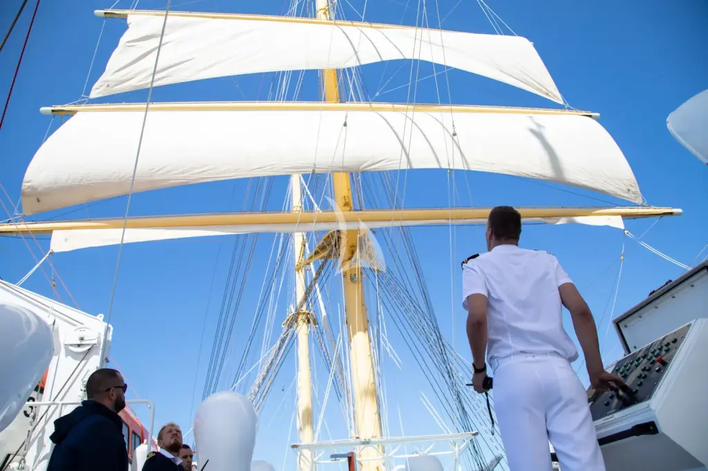 GOLDEN HORIZON - Sails up