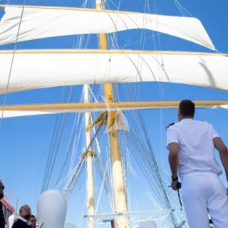 Sails up