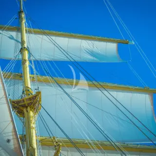 Sail