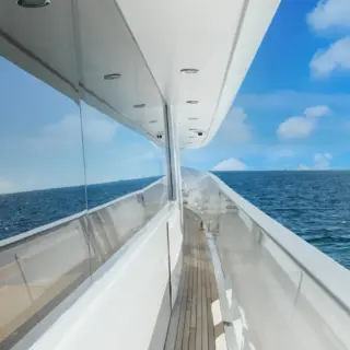 YOLO - Image 2