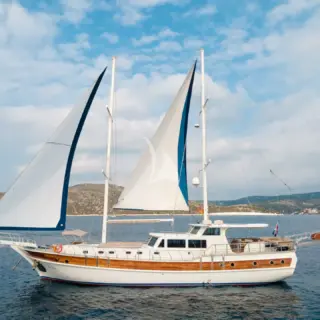 Sea Breeze - Image 4