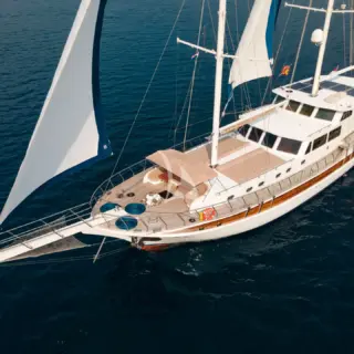 Sea Breeze - Image 5