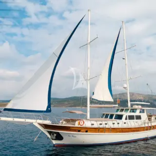 Sea Breeze - Image 3