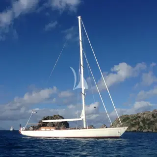 NORTHERN STAR - Image 6