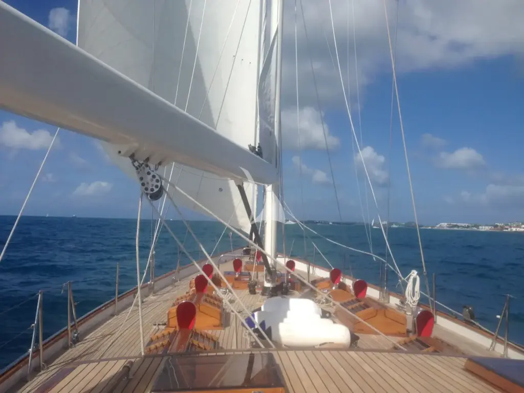 NORTHERN STAR - Image 4