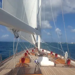 NORTHERN STAR - Image 4