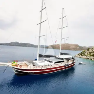 Questa Vita - Image 2
