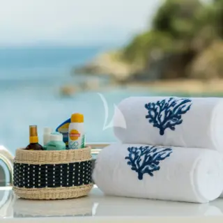 Endless Summer - Details