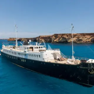 HARMONY II - Image 2