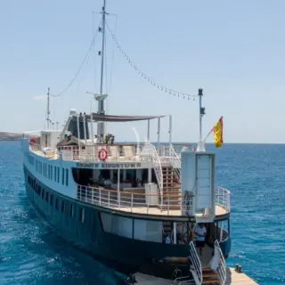 HARMONY II - Image 5