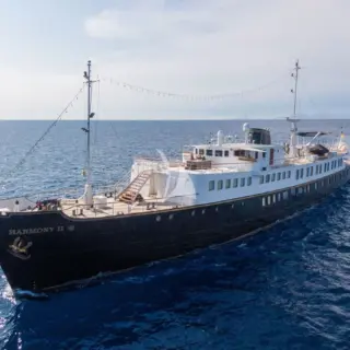 HARMONY II - Image 3