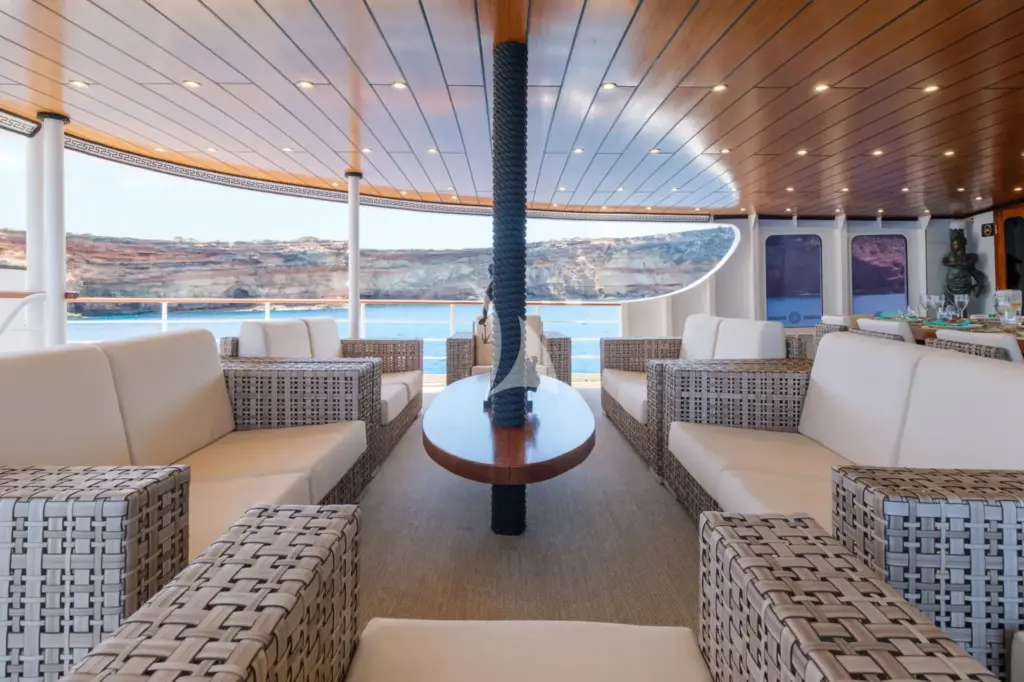 HARMONY II - Image 3