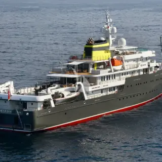 YERSIN - Image 3