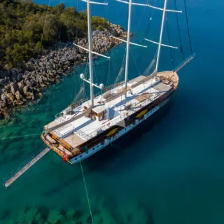 ADMIRAL - Image 15