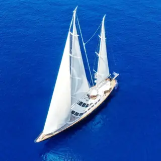 Tamarita - Image 14