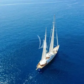 Tamarita - Image 15