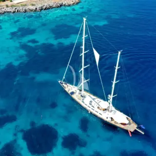 Tamarita - Image 1