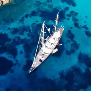 Tamarita - Image 2