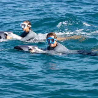 Two Seabobs