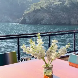 CLEAR EYES - Image 10