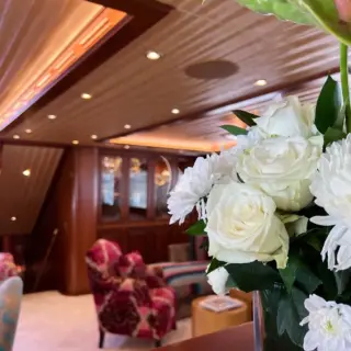 CLEAR EYES - Image 23