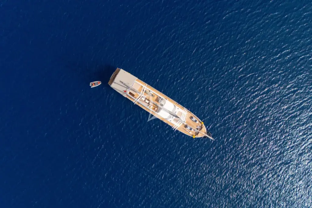 King of the Sea - Image 4