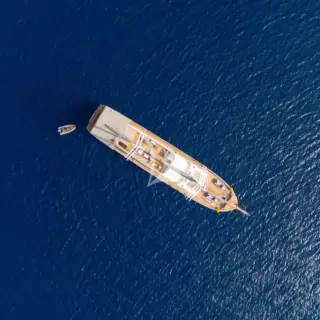 King of the Sea - Image 4