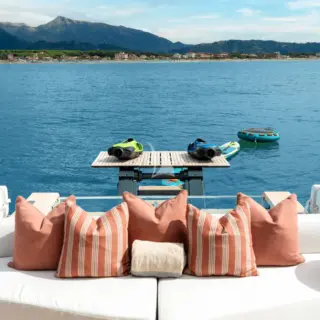 Hydraulic Swim Ladder