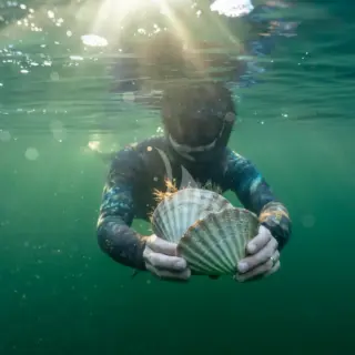 Experience: Diving