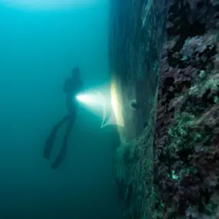 Experience: Underwater Adventure